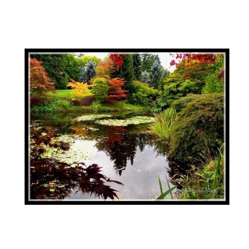 

Golden panno,Needlework,Embroidery,DIY Landscape Painting,Cross stitch,kits,14ct nature Garden Cross-stitch,Sets For Embroidery