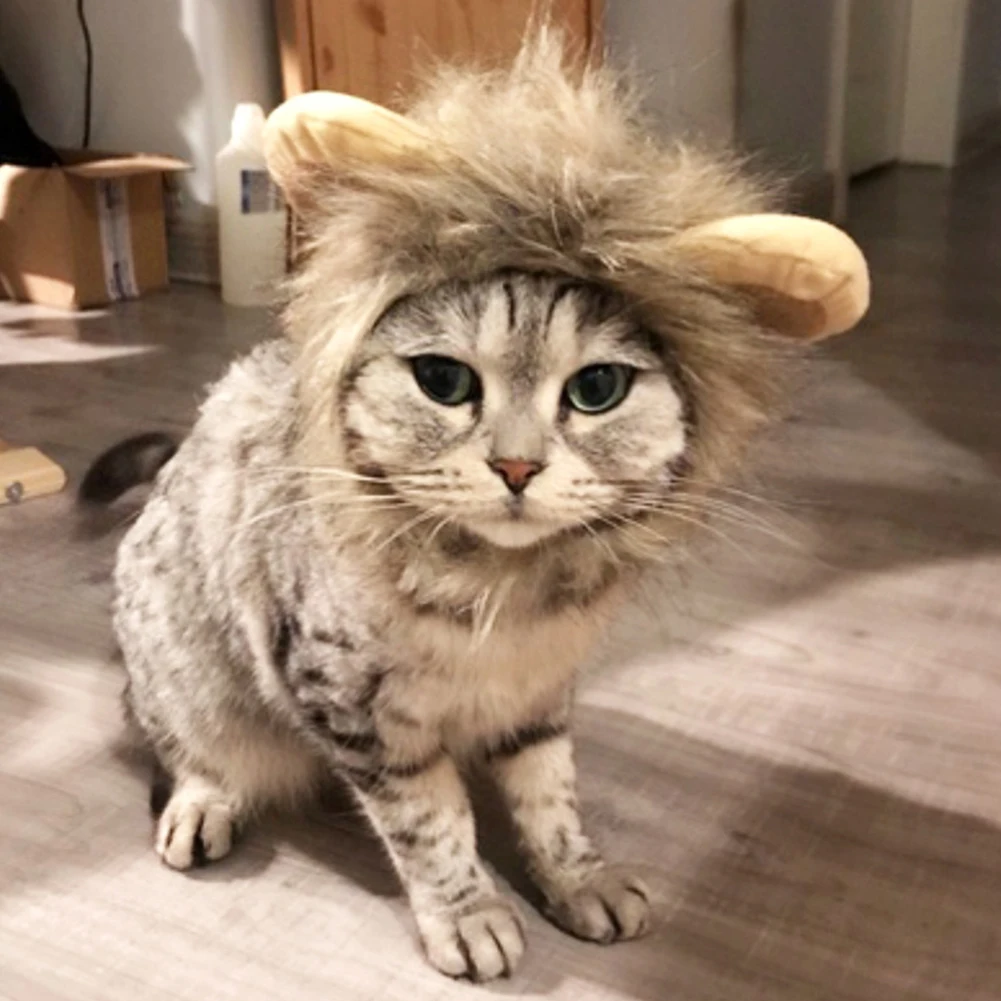 Забавный костюм кошки для домашних животных Косплей льва грива парик шляпа