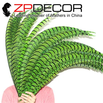 lemon green ZPDECOR 50 шт./лот, разные цвета, хорошее качество, Зебра, перья для девушек, хвост, для карнавала, головной убор, Декор, перья, EMS/DHL - Цвет: lemon green
