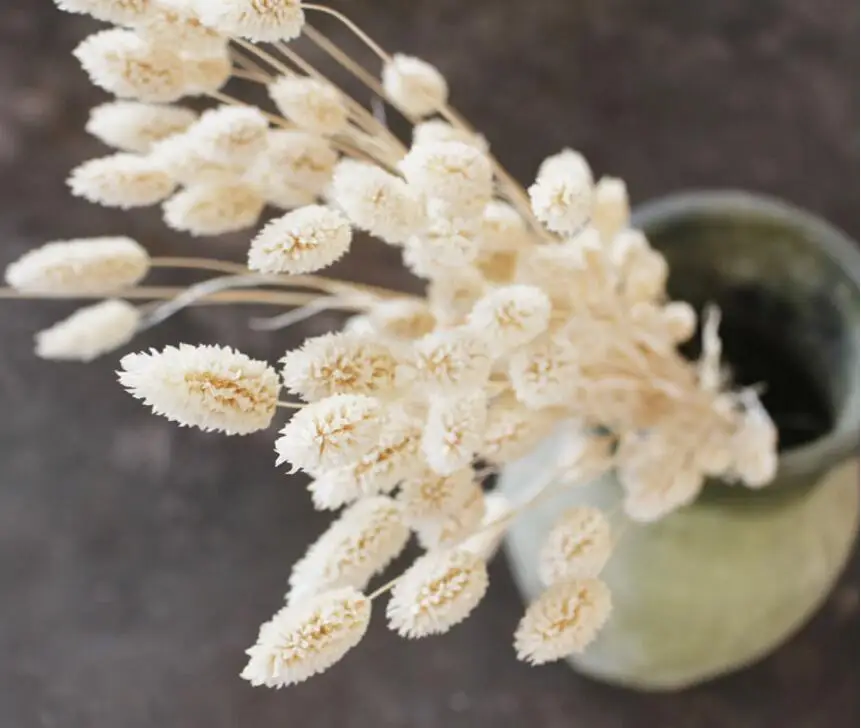 Вентилируемые цветы для рукоделия длина 40 см 20 шт.|flowers for crafts|flowers forflower arrangement |
