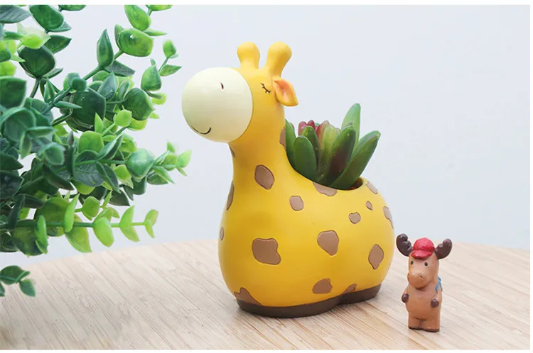 6 видов конструкций современный мультяшный горшок для суккулентов полимерный