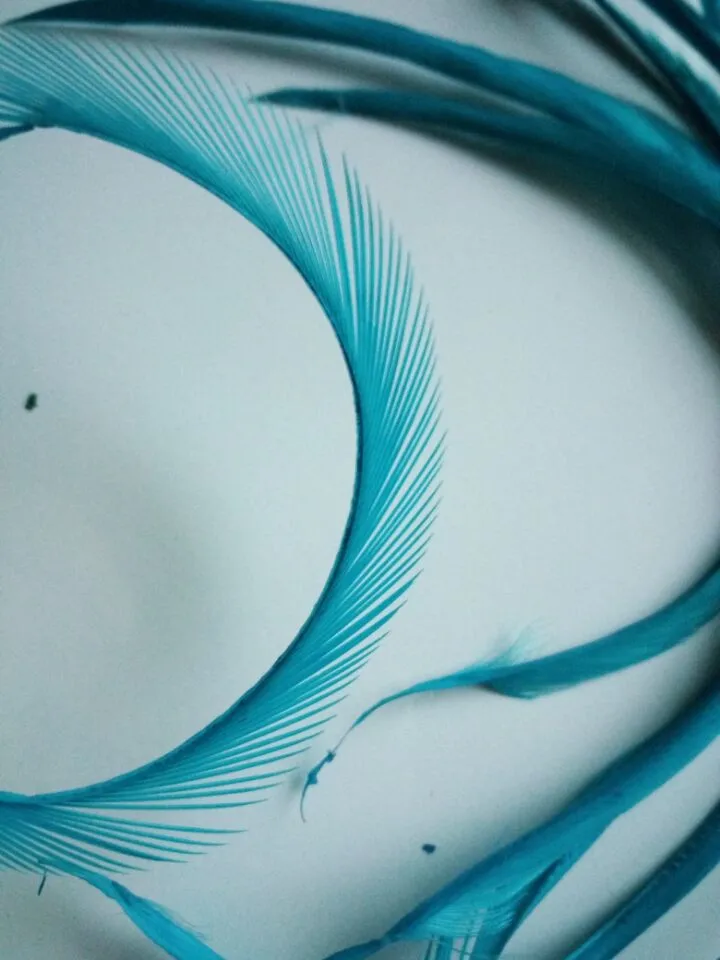 Выбирайте из реальных фотографий! 10 шт./лот красивые ремесла перо рваные края 6 8