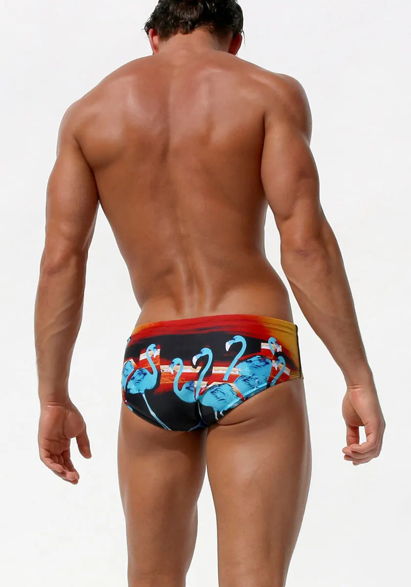 AUSTiNBEM мужские сексуальные купальные костюмы с низкой талией плавки Шорты для