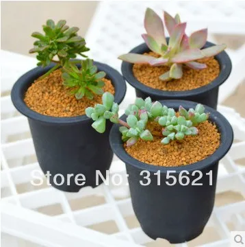 4 шт. вьющаяся раковина для растений 7 8 см х 9 см|plant organ|flowerpot wallplant figurines |