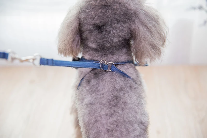 Embroidery Jean Dog Harness Vest Pet Puppy Vest Leash Walking Traction Rope Denim Adjustable Chest Strap Small Dog Accessories