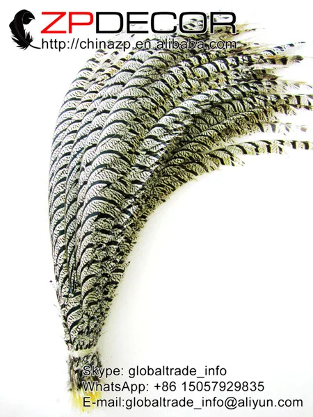 ZPDECOR 32-36 дюймов (80-90 см) 10 шт./лот редкие натуральные черные и белые зебры женские