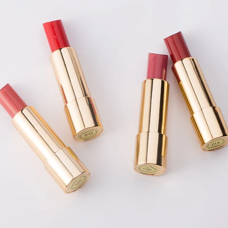 Exquisite Beauty Makeup Waterproof Matte Lipstick Smooth Velvet Lip Stick Long Lasting Gloss Moisturizer VE Non-stick Cup |