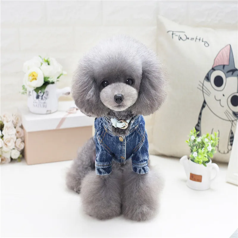 

A114 dog autumn denim clothes cartoon design 2017 new style