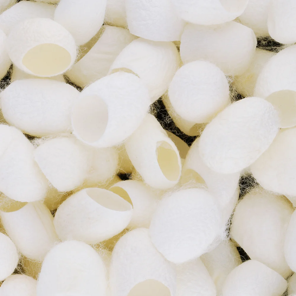 100 шт/партия Женский свежий натуральный Шелкопряд кокон красота и здоровый уход