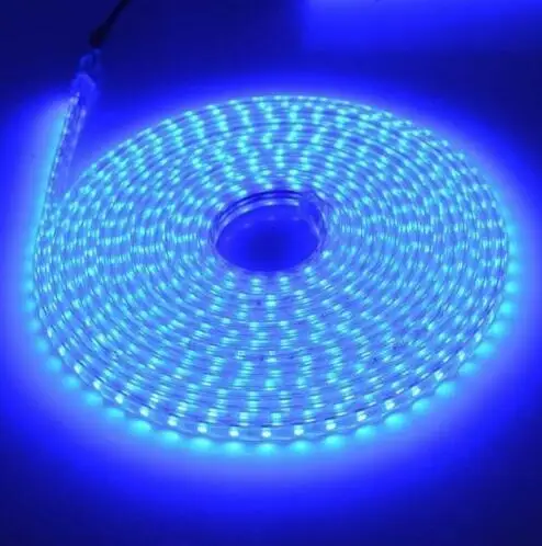 blue with switch SMD 5050 220V Светодиодные ленты Водонепроницаемый гибкий светильник ленты веревки светильник s RGB белый с вкл/выкл разъем 1 м/2 м/3 м/5 м/10 м/15 м/20 м - Испускаемый цвет: blue with switch