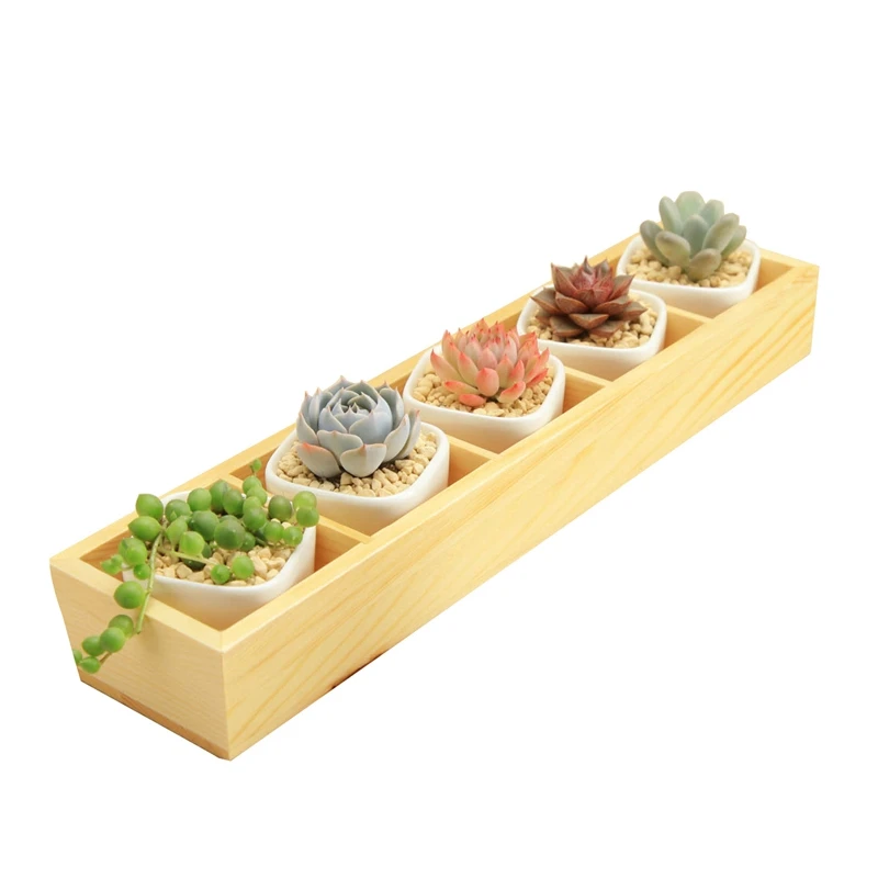 SHGO-1Set Of Modern Decorative Small White Square Ceramic Succulent Plant Pot 5 Flower Planters With 1 Wooden Tray Box Home | Дом и сад