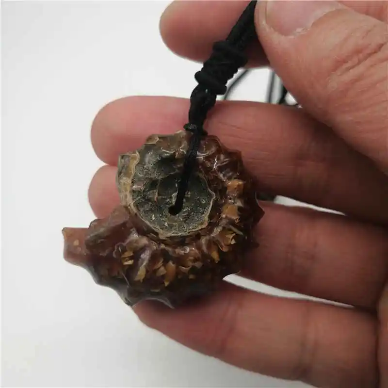 Natural Ammonite Snail Marine Paleontological Fossil Conch Nautiloidea Mineral Specimen Stones pendant | Украшения и аксессуары