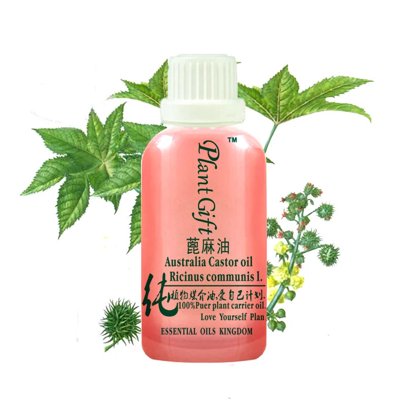 100% Pure завод эфирное Масла Laurel/Чай дерево/розмарин/Колёсики масло Бэй Марокко