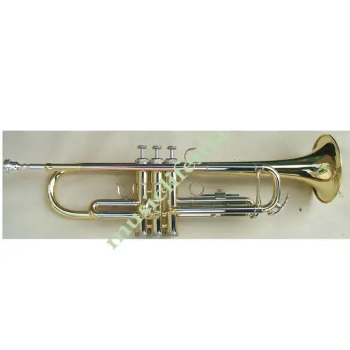 

new Bb advanced trumpet great sound metal technique