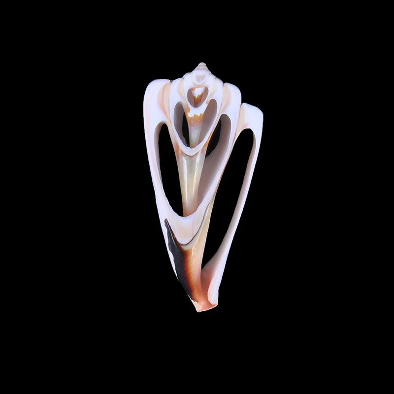 5 шт. размер: 4-6 см сделай сам натуральная основа раковина бусы Cowry Каури племенной