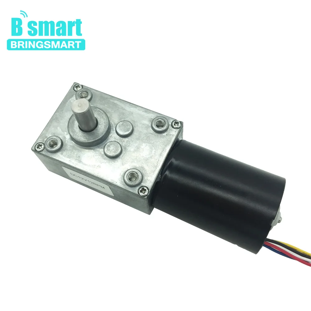 Фото Bringsmart BLDC 12V DC мотор 24V с червячной коробкой передач 8 470 об/мин высоким крутящим Bringsmart BLDC 12V DC мотор 24V с червячной коробкой передач 8 470 об/мин высоким крутящим