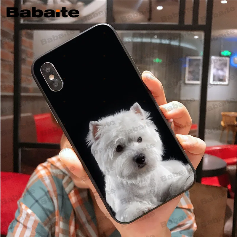 Цветной милый чехол для iphone 11pro max Westie dog 8 7 6 6S Plus X XS MAX 5 5S SE XR Cover Babaite | Мобильные