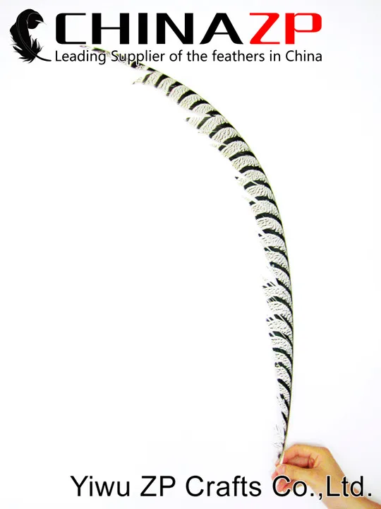 Рекомендуемая качественная натуральная Зебра CHINAZP 80 ~ 90 см|lady amherst|pheasant tail feathertail