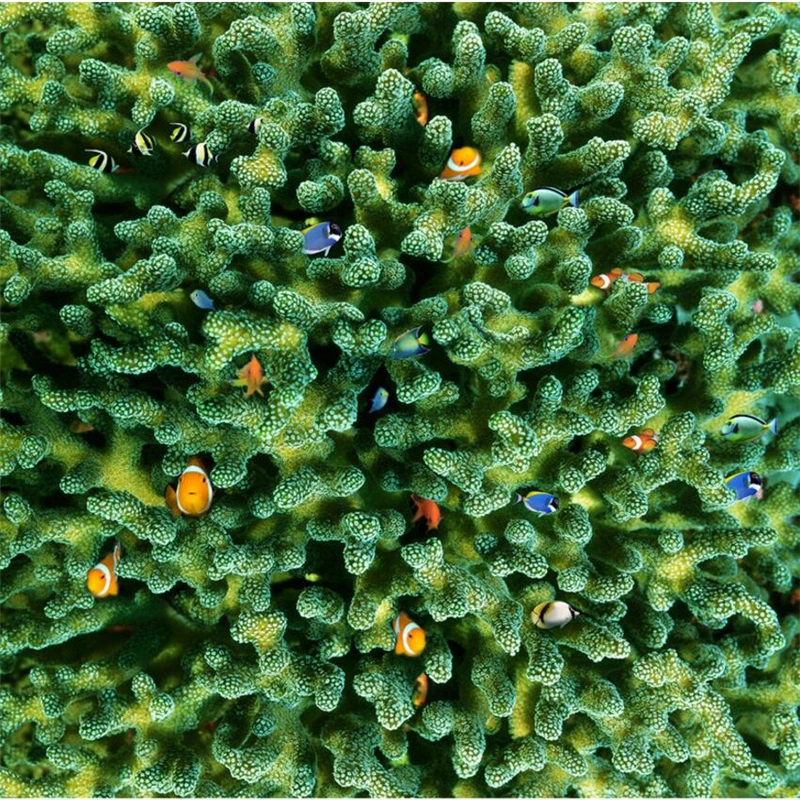 3D обои Beibehang с пользовательским фото современное искусство коралловые