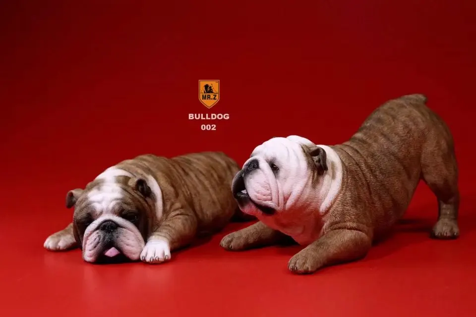 Mnotht 1Pair 1/6 British Bulldog Sculpt Model Naughty &amp Cute Dog Carving For 12in Action Figure Scene l20 | Игрушки и хобби