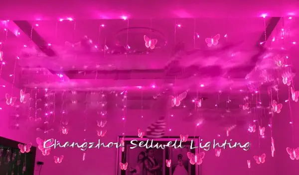 GOOD!Agritainment decoration festival lighting wedding celebration product 0.75*8m butterfly LED lamp H205