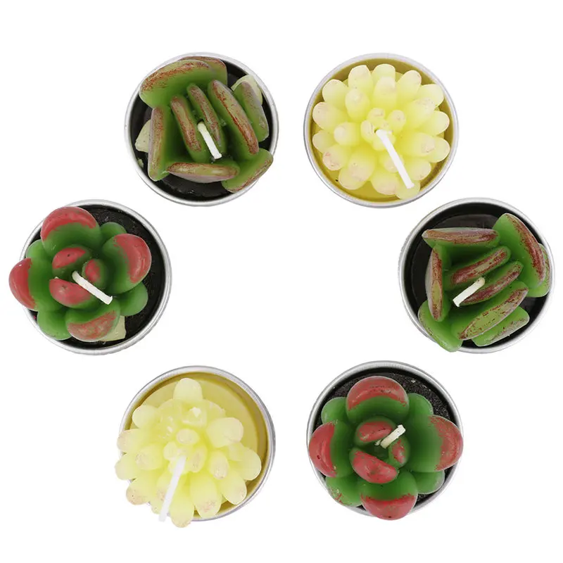 12 шт./компл. кактус чайный свет свеча длинное горение суккуленты подсвечник