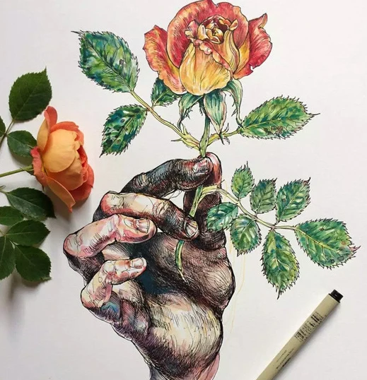 14 цветов Sakura Pigma Micron лайнер ручка набор Дизайн Рисование манга эскиз художественные маркеры Fineliner ручки японские канцелярские принадлежности