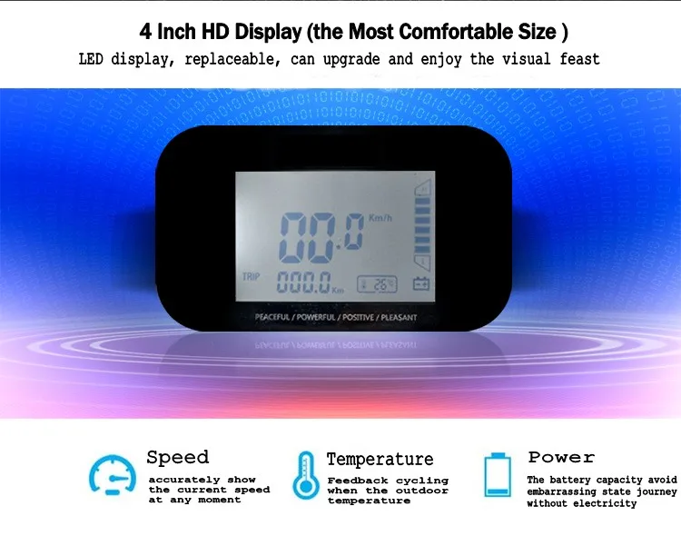 15 дюймов высокотехнологичные материалы двух колесные само-от производителя