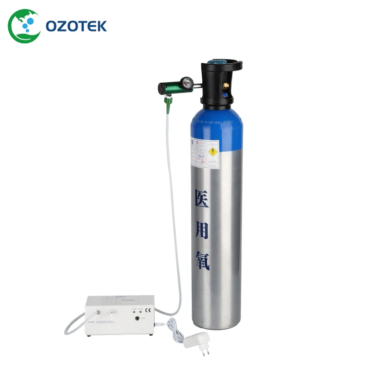 Портативная модель озонового генератора рандомная модель|gerador ozonio|portable ozone