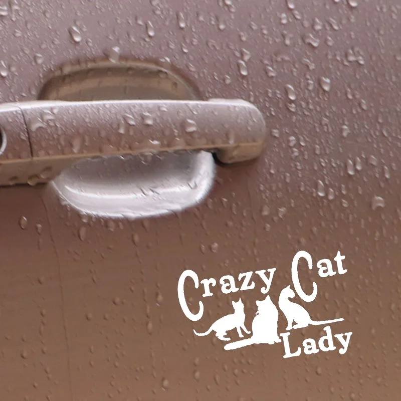 YJZT 15 5 см * 9 виниловые наклейки с изображением Crazy Cat Lady забавные автомобильные