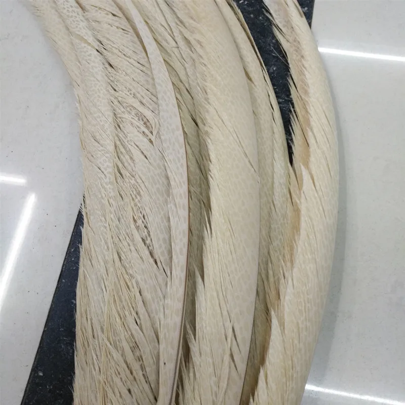 Beautiful white pheasant cover tail feathers 50 pcs long 65-70 cm DIY stage celebration decoration | Дом и сад