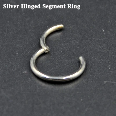 Silver 1 шт. G23 титановый Опаловый камень шарнирное сегментное кольцо для губ ниппель хрящевой канат Спираль пирсинг Перегородка носа кликер с опаловым камнем - Окраска металла: Silver