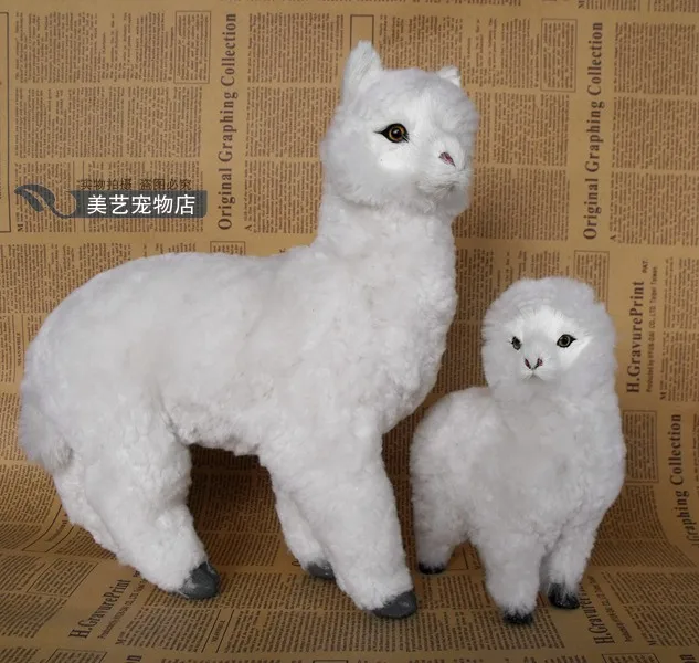 Альпака 3д модель. Лама. Лама low poly. Модели альпака. Модели альпака.