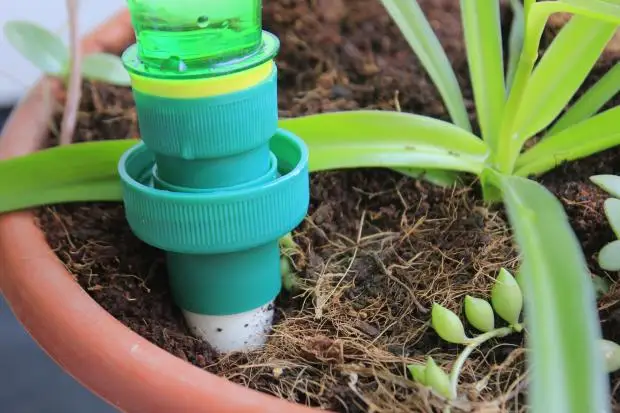 Керамические наборы для полива 1 шт. садовые Цветочные фарфоровые конусные