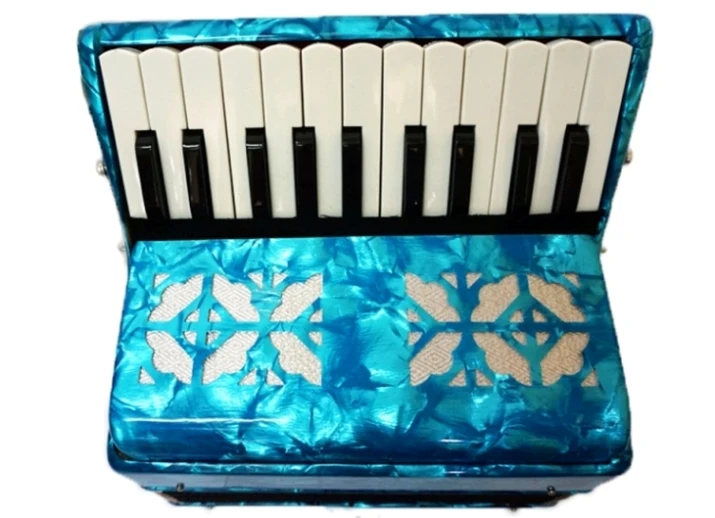 Sky Blue accordion 22 ключа 8 басовый аккордеон 22K8B дети аккордеон 22 ключа 8 басовый аккордеон для детей(красный/синий/зеленый 3 варианта цвета - Цвет: Sky Blue accordion