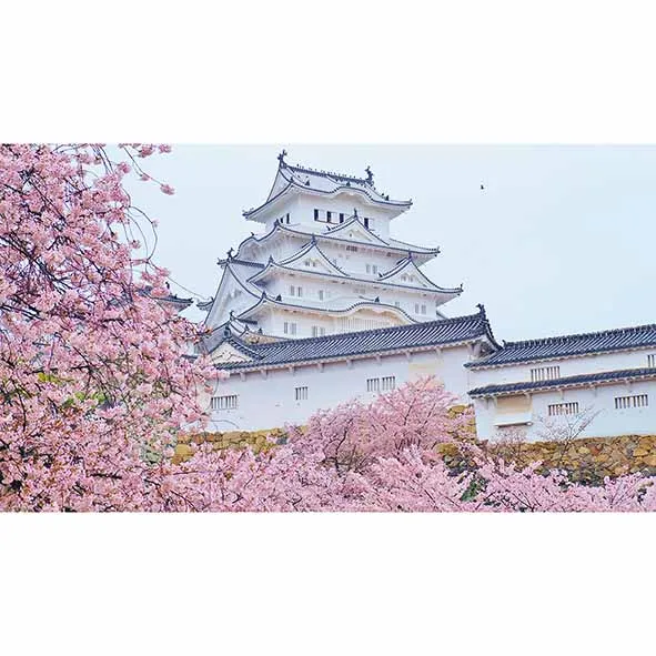 Allenjoy background photo studio Cherry blossom flowers building pink nature scenery backdrop new original design fantasy props |