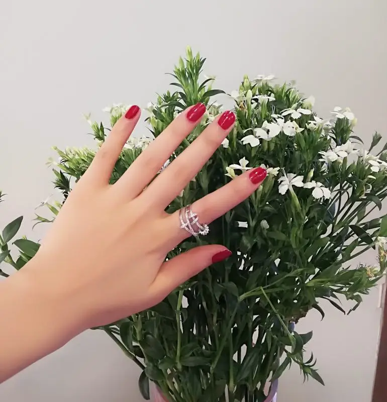 Звезды с европейской и американской моды классический микро инкрустированные