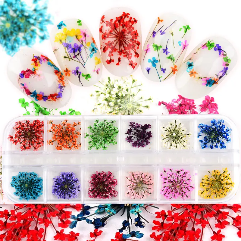 

12 Colors DIY Nail Art Decorations Mixed Dried Flowers With Bottle 3D Dry Flower Decor Nail Decals Nail Stickers Manicure Tips