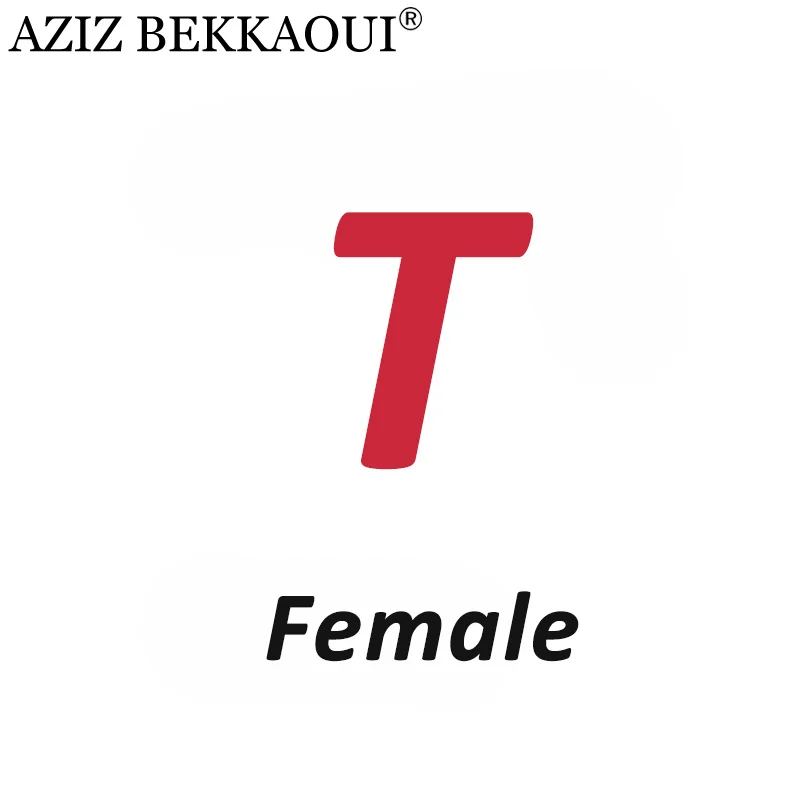 Female T AZIZ BEKKAOUI DIY обслуживание на заказ специальный зимний подарок для друзей, любимых подарок на день Святого Валентина Прямая поставка 3040-49 - Окраска металла: Female T