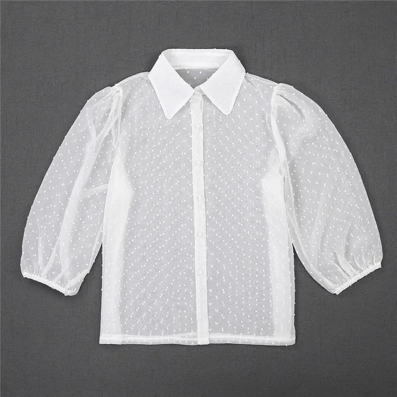 

Women Transparent Blouse Lace Hollow Mesh Net Shirt Summer Long Sleeve Lapel Tops Blouse Sexy Night Club Wear Transparent Shirt