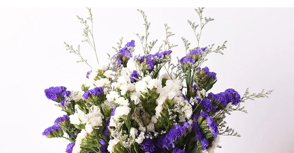 55 см натуральный воздушный сушеный Forget-me-not букет из сушеных цветов Рождественские Свадебные украшения цветы семейные вечерние композиции цветов
