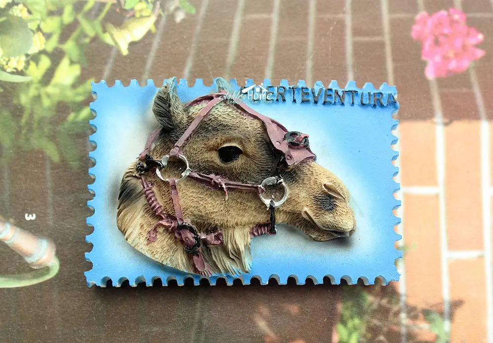 Spain Fuerteventura Island Tourist Travel Souvenir 3D Resin Decorative Fridge Magnet Craft | Magnets