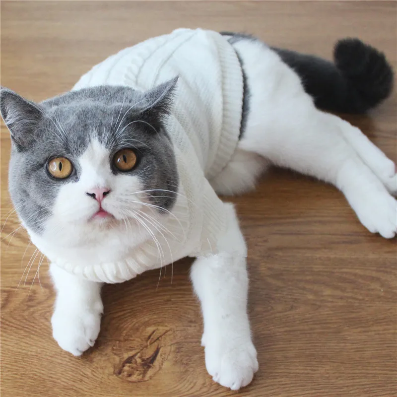 Одежда для кошек зимняя одежда собачек щенков йоркширских терьеров и чихуа-Хуа