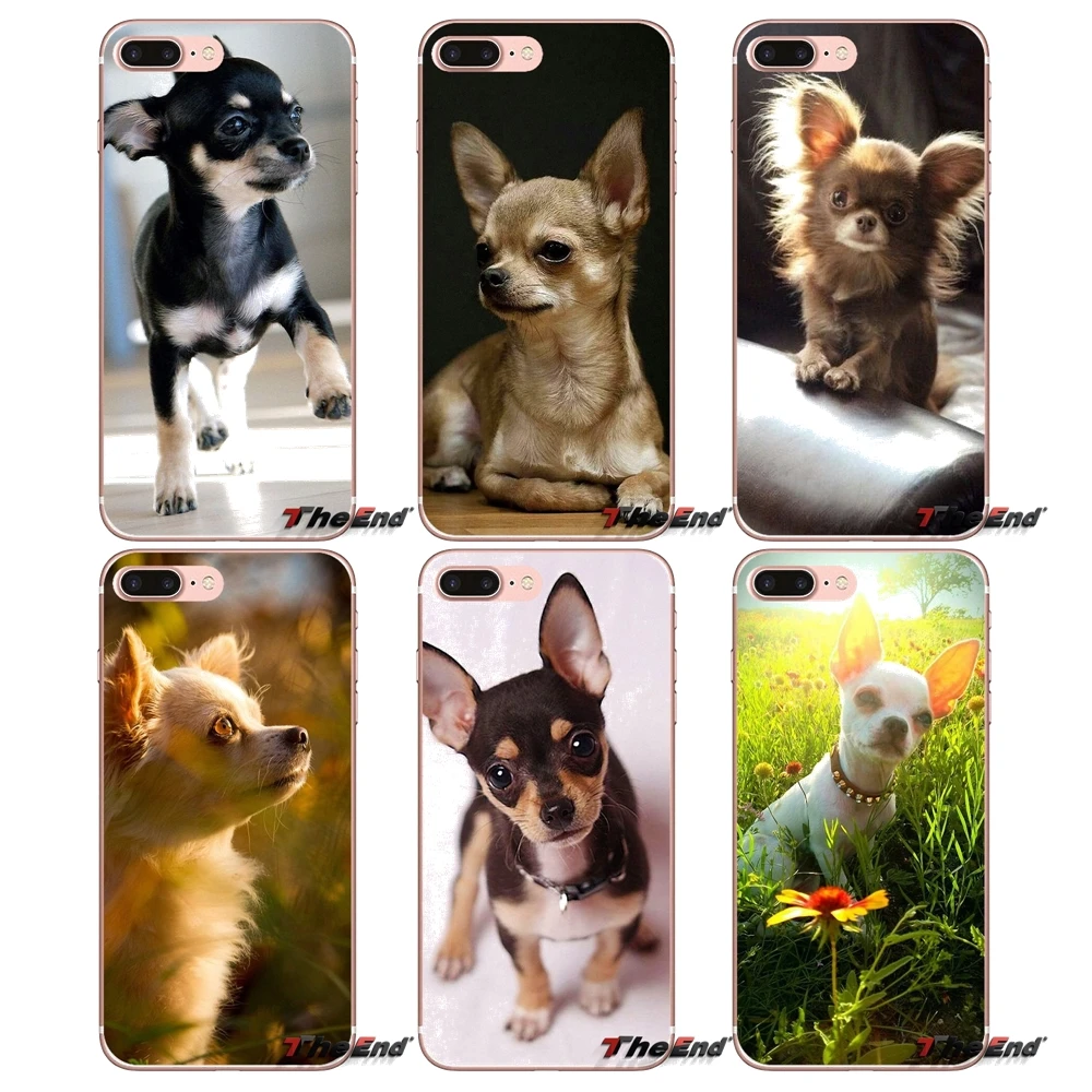 Чехол для Samsung Galaxy J1 J2 J3 J5 J7 A3 A5 A7 2015 2016 2017 J530 J730 Fundas Coque Чихуахуа собака бульдог
