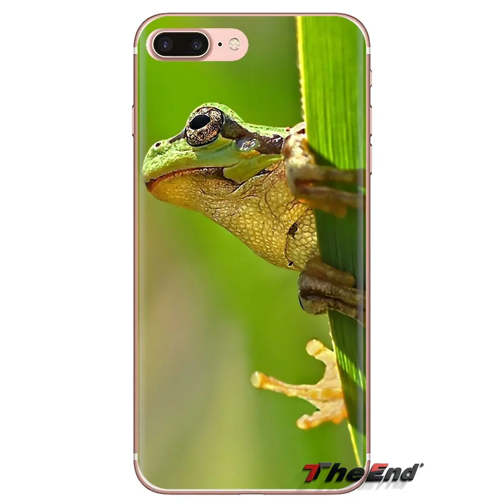 Мягкие прозрачные чехлы лягушка для Samsung Galaxy A3 A5 A7 A9 A8 Star A6 Plus 2018 2015 2016 2017 |