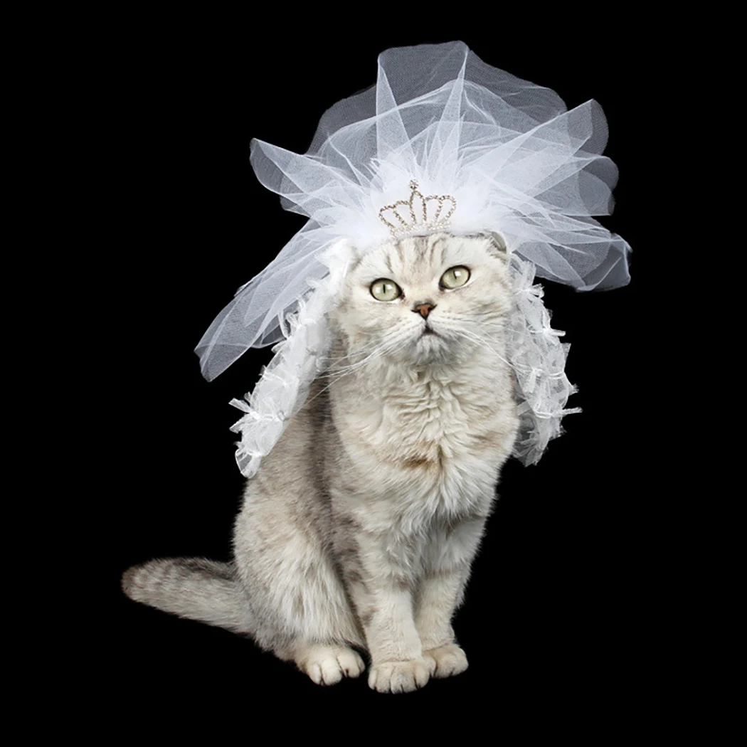 

Creative Fashion Pet Cat Headband Decorative Wedding Veil Pet Headwear Pet Party Costume Cat Accessories for Kitten Cats