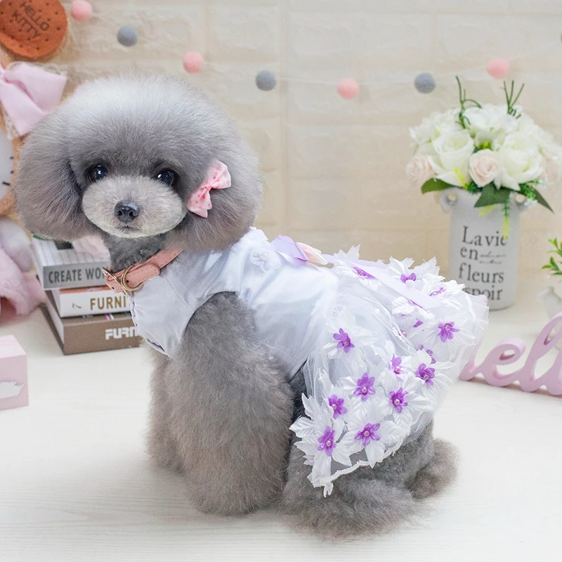 Геометрический цветок Чихуахуа собака свадебное платье розового и фиолетового