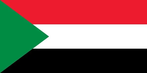 Sudan 2 100% настоящая Подлинная коморативная нотка оригинальная коллекция | Дом и сад