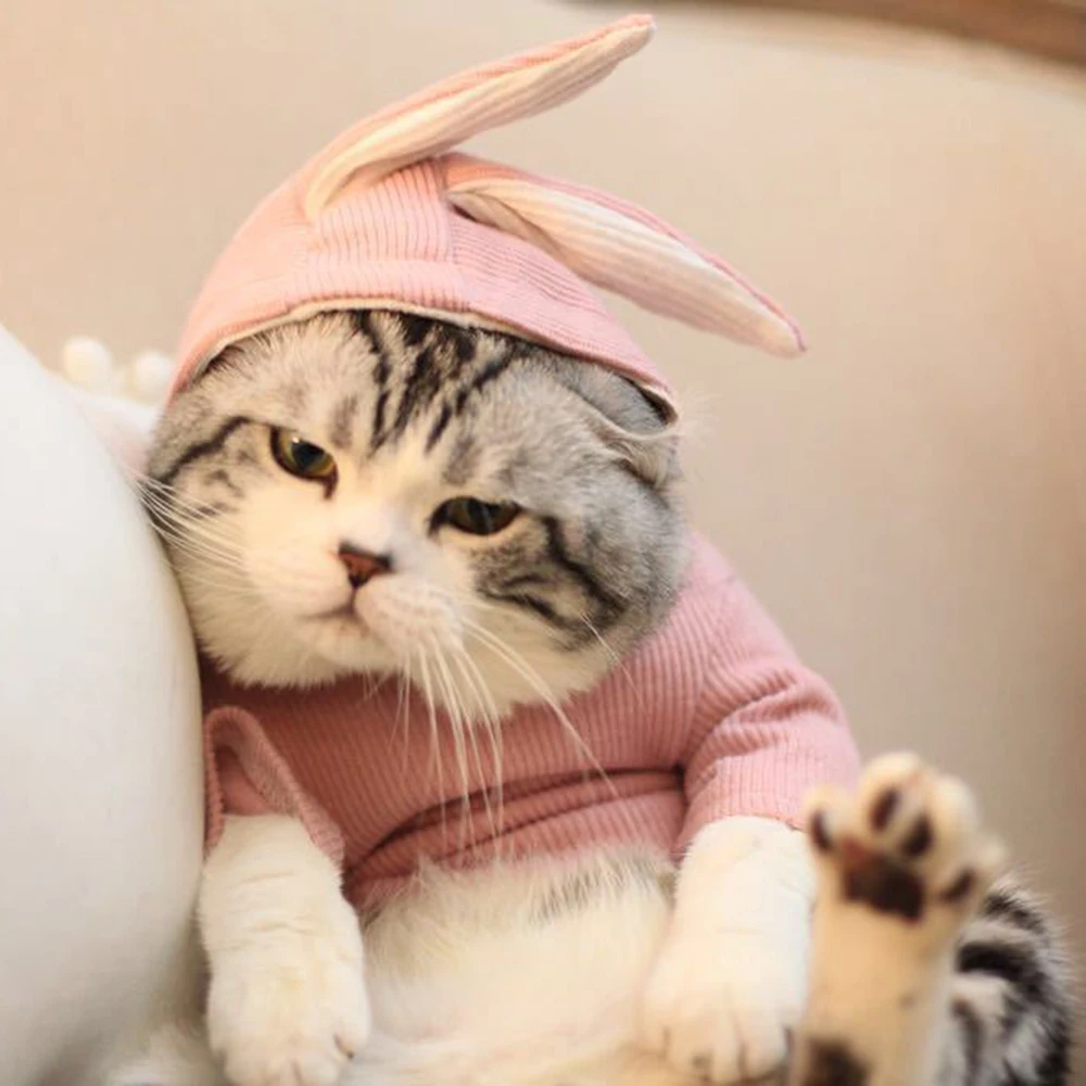 Rabbit Ear Sweater Dog Than Bear Teddy Law Fighting Cat Clothes Pet Autumn And Winter Spring Summer Thin Section |