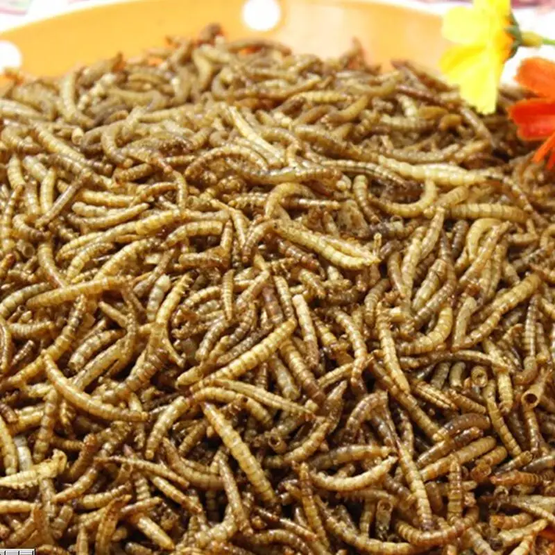 Бесплатная доставка Сушеные mealworms Tenebrio хомяк arowana корм для рыбы черепаха еда myna